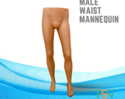Male Waist Mannequin (per piece)