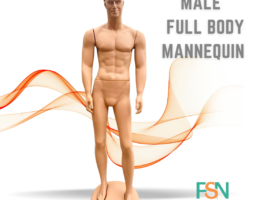 Male full body mannequin (per piece)
