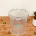 3LTR Almond transparent (per dozen)