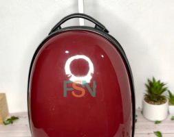 Shell Kids School Bag